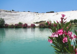 Pamukkale Natural Park Looking at the Travertines