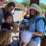 Learning what Polar Bear and Arctic Fox fur feels like at the Winnipeg Assiniboine Park Zoo