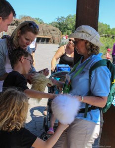 Learning what Polar Bear and Arctic Fox fur feels like at the Winnipeg Assiniboine Park Zoo