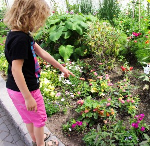 Pointing out butterflies at the Winnipeg Assiniboine Park Zoo