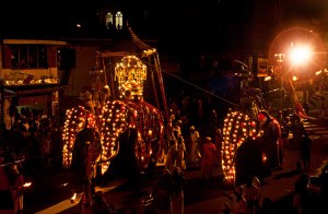 Sri Lank Esala Perahera elephant procession