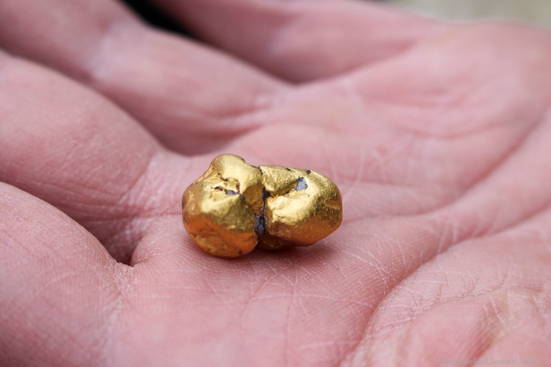 Holding a Gold Nugget in the Hand The Yukon