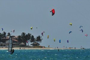 Lots of kiteboards at windblown Cabarete