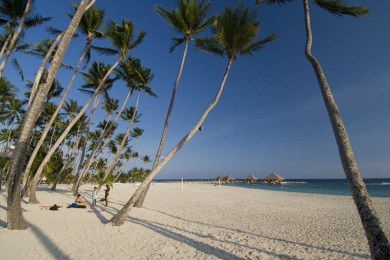 Juan Dolio coconut lined beach