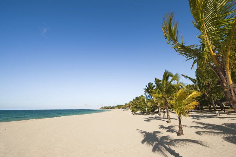 Palm tress blowing at Playa Dorada
