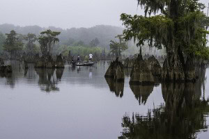 Dead Lakes in Wewahitchka FL