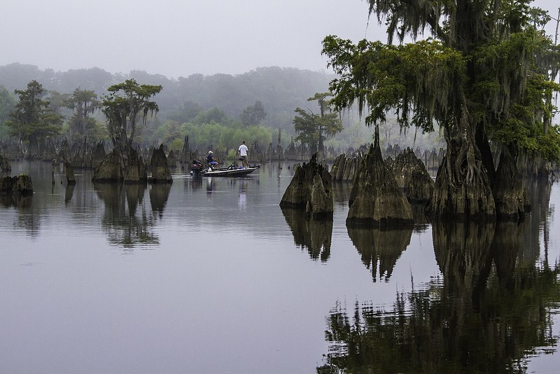 A local Wonder. Dead lakes