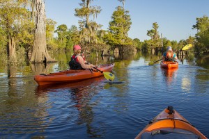 Kayaking the dead lakes in Gulf County Florida