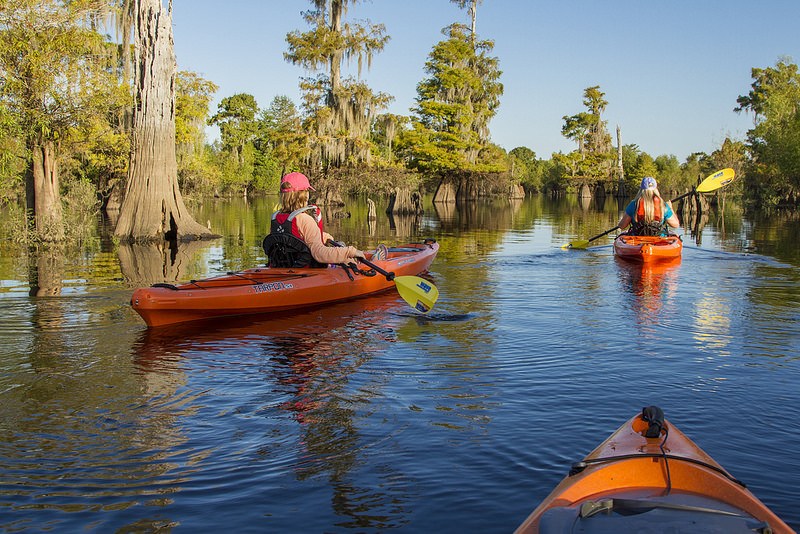 Kayaking the dead lakes in Gulf County Florida