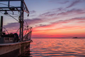 Sunset Gulf County Florida