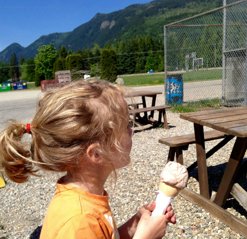 Loving D Dutchman Dairy Ice Cream Sicamous