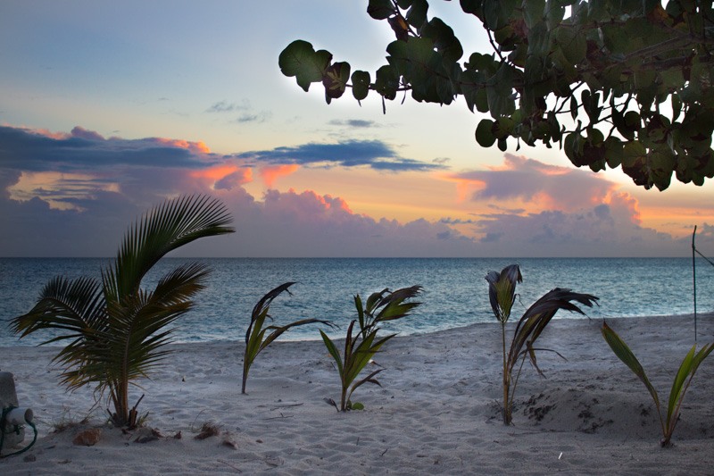 The beach at Anguilla Great House