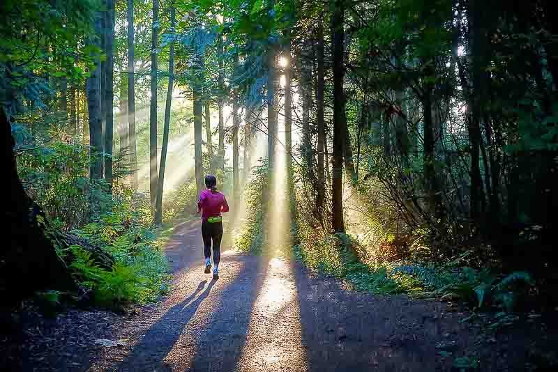 Jogger in Stanley Park What to Do See and Eat in Vancouver Photo by Sebastien Launay