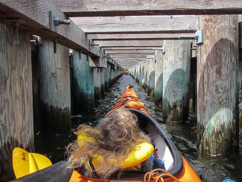 Kayaking with the kids with Hoodoo Adventures Penticton