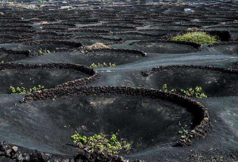 Lanzarote Vineyards in La Geria Spain