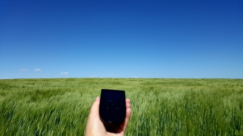 Tep Wireless in a wheatfield in Saskatchewan