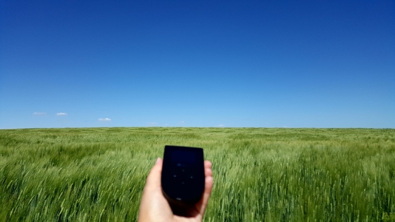 Tep Wireless in a wheatfield in Saskatchewan