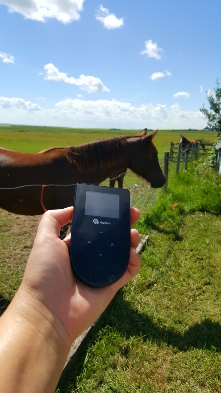 Tep Wireless on a ranch with horse in field
