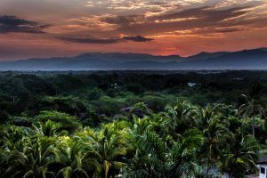 Lush tropical forest view from the back of the Marival Residences Luxury Resort