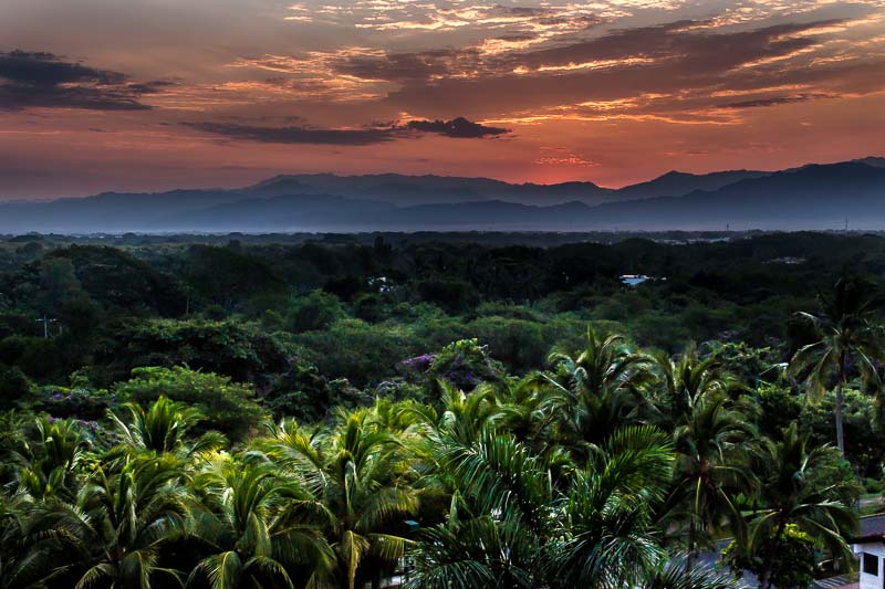 Lush tropical forest view from the back of the Marival Residences Luxury Resort