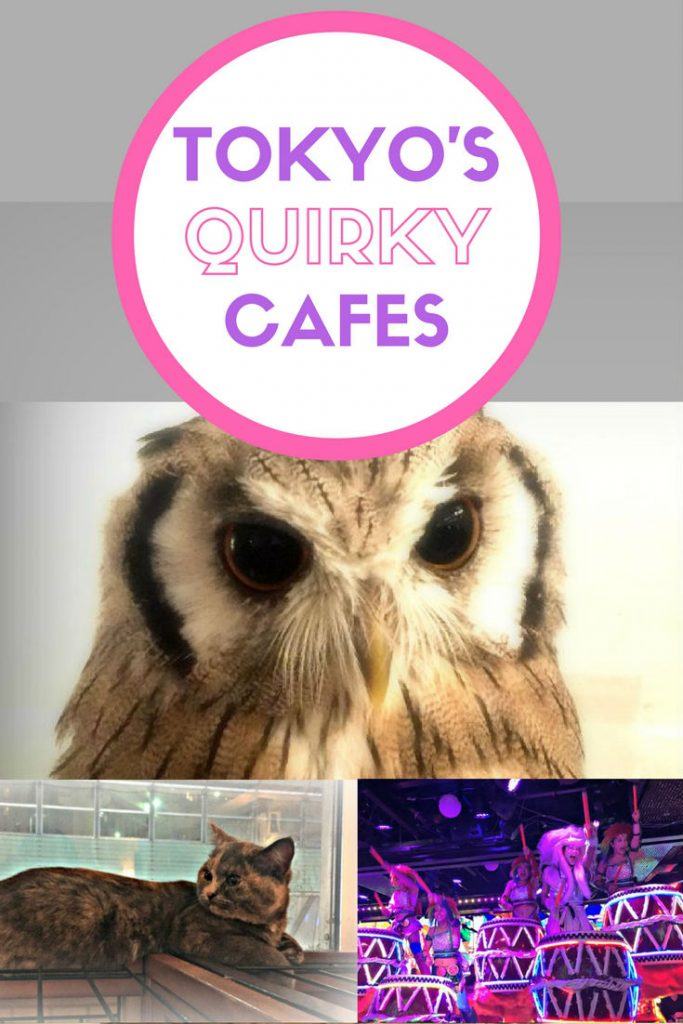 Tokyos quirky themed cafes