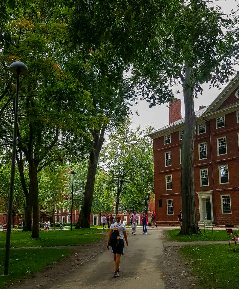 leafy Harvard campus Boston