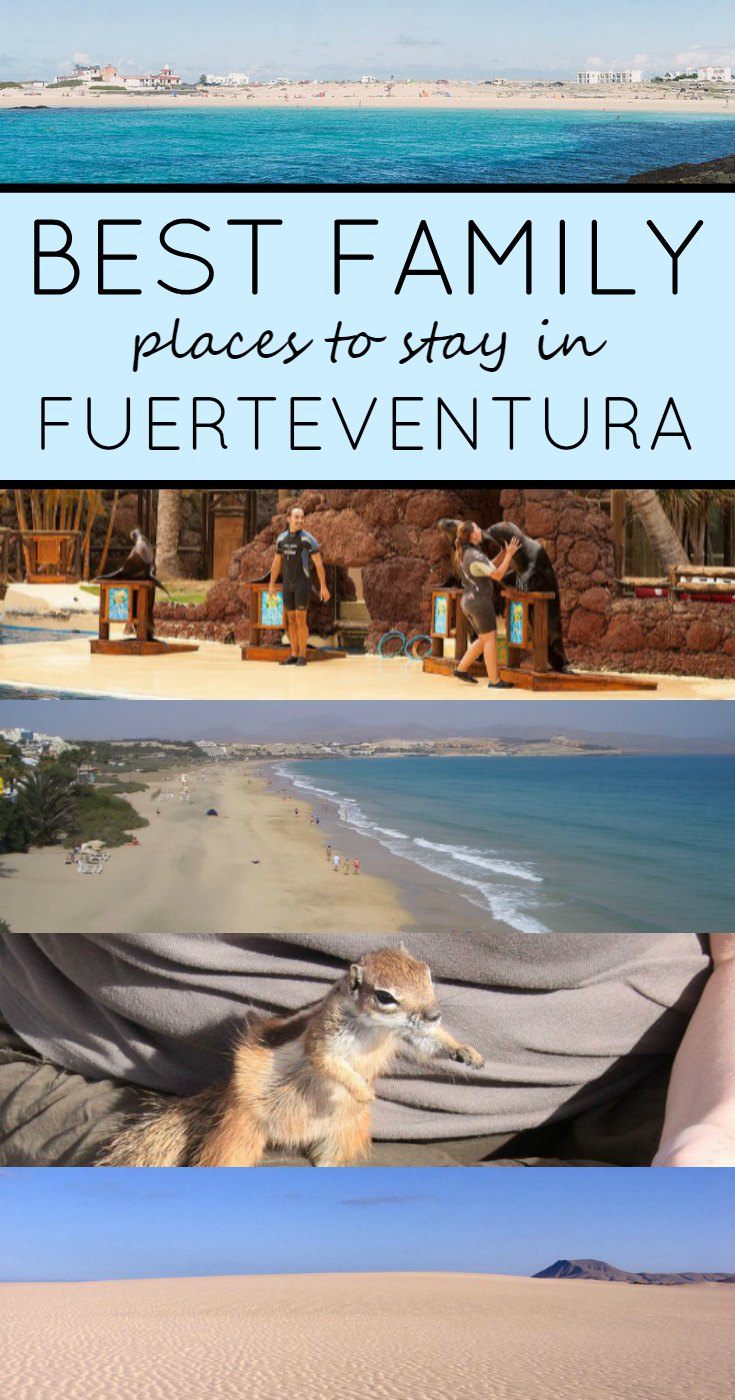 The Five Best Family Places to Stay in Fuerteventura