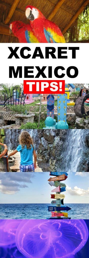 A Review of Xcaret Cancun Mexico. We look at the best transportation options, the most fun things to do and see, and even give our helpful tips for visiting Xcaret in the Mayan Riviera