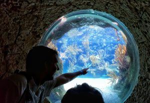 Xcaret aquarium
