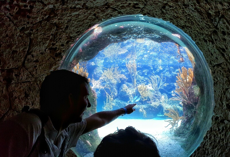 Xcaret aquarium