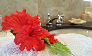 Flowers at Victoria House Ambergris Caye