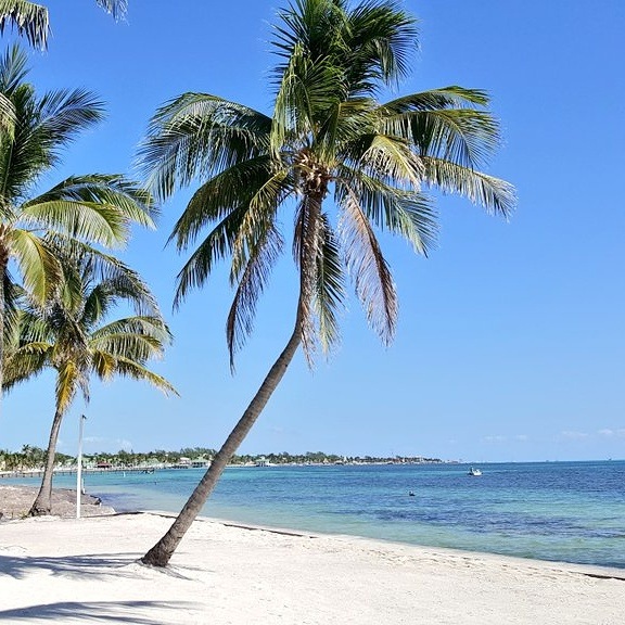 Beach and palm trees at Victoria House Ambergris Caye