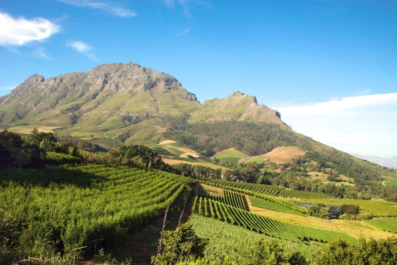 Panorama de un viñedo en el sur de Franschhoek, cerca de Ciudad del Cabo.  Stellenbosch.  Sudáfrica