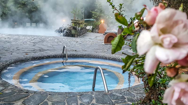 Spa rose in front of hot pool at Termas Papallacta spa hot pool