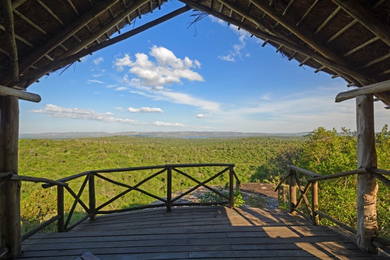 View from a Wilderness Lodge