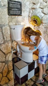 Xenses toilet water fountain