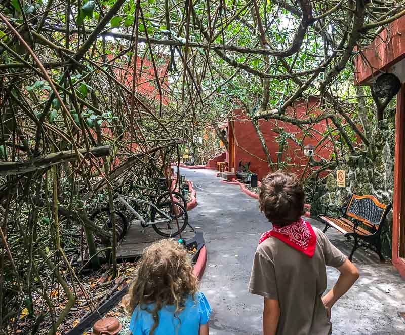 Kids looking at the mangroves at the Red Mangrove Hotel in the Galapagos