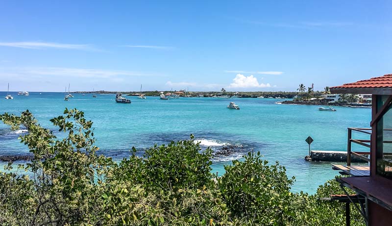 Red Mangrove Hotel Galapagos view from rooftop of ocean