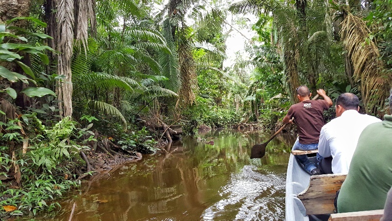 canoeing in the Amazon Jungle