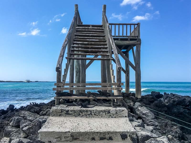 Marine iguanas at the pier in front of the Hotel Albemarle