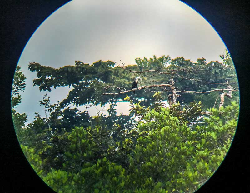 Looking at birds through binoculars at La Selva Lodge Amazon 