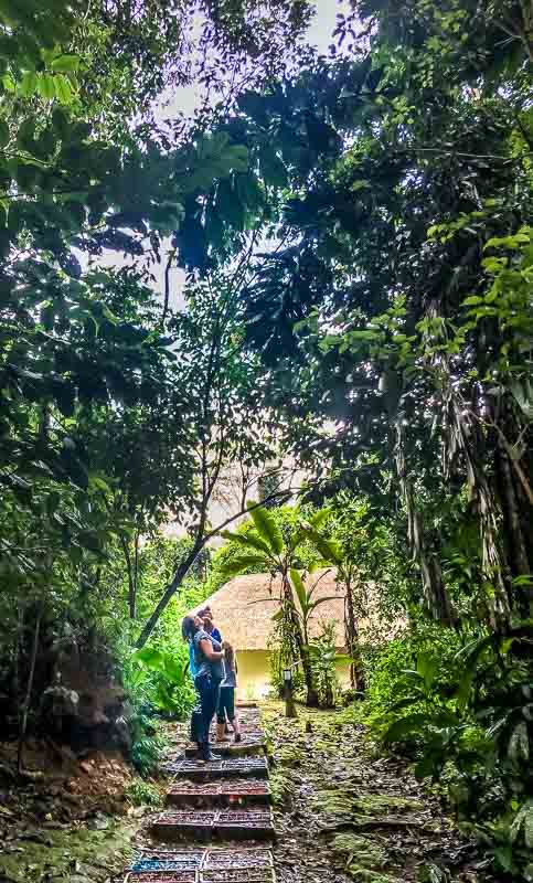 Looking at a troupe of monkeys at Yasuni National Park in the Amazon Rainforest in Ecuador