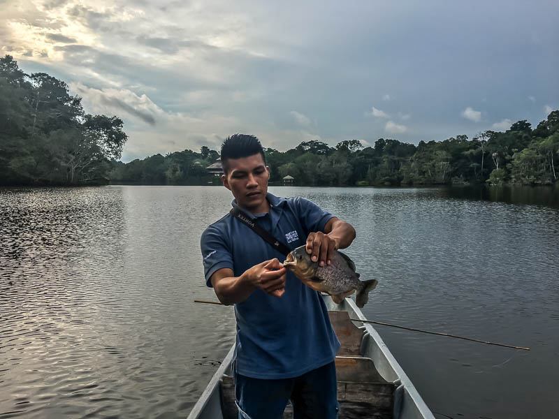 piranha fishing in the Ecuadorian Amazon