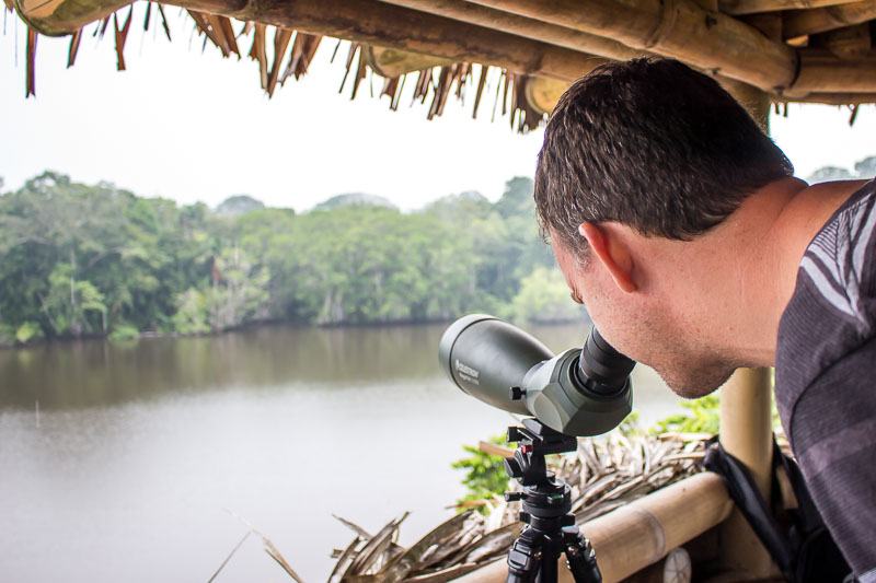 La Selva Lodge bird watching in the jungle