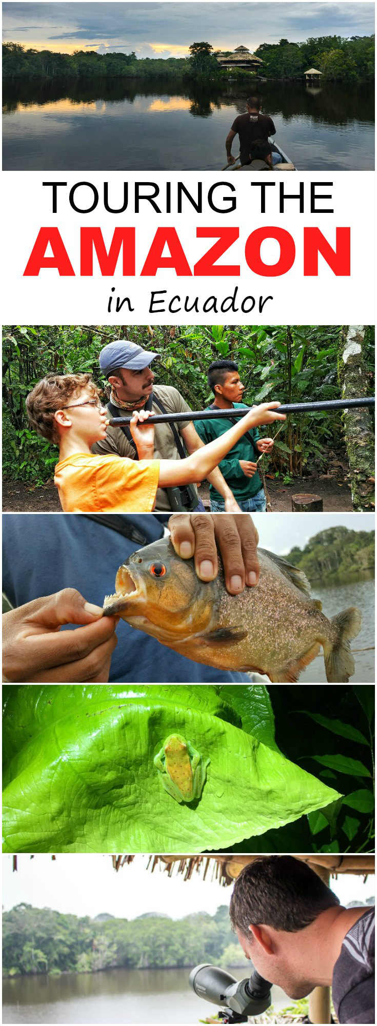 What To Expect On An Ecuador Amazon Tour With La Selva Lodge | Touring the Amazon in Ecuador | Ecuador Amazon rainforest | Ecuador Amazon Lodges | Ecuador Amazon tour | Ecuador Amazon jungle