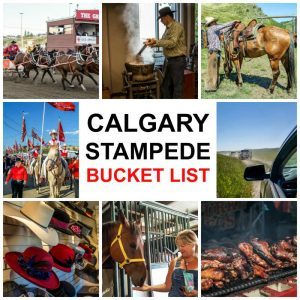 21 Incredible Things To Do at the Calgary Stampede Bucket List