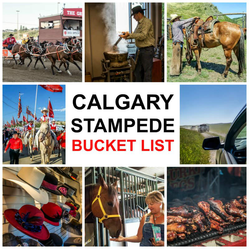 21 Incredible Things To Do at the Calgary Stampede Bucket List