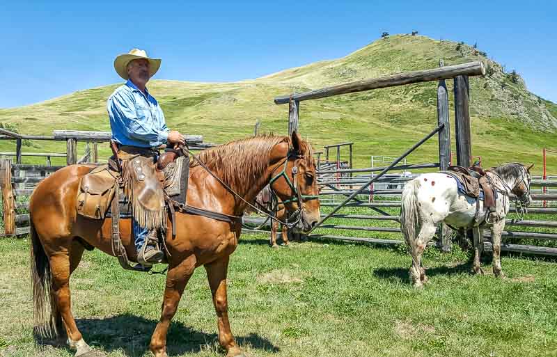 cowboy on a horse at the Calgary Stampede OH Ranch