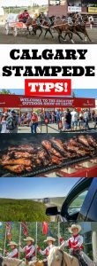 Calgary Stampede Tips | Calgary Stampede things to do | Calgary Stampede Bucket List