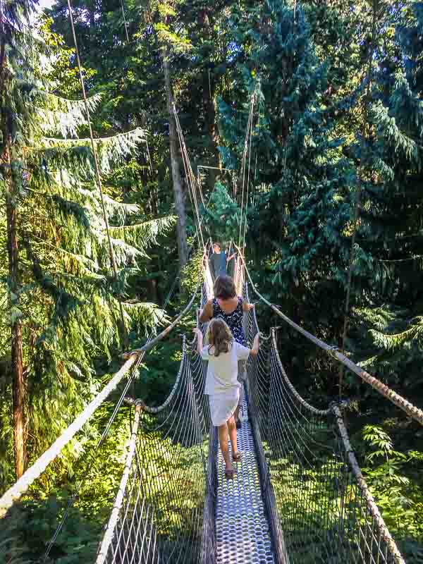 Greenheart TreeWalk at UBC Botanical Gardens